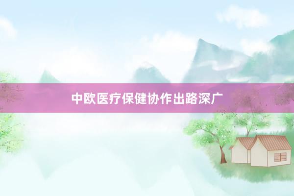 中欧医疗保健协作出路深广