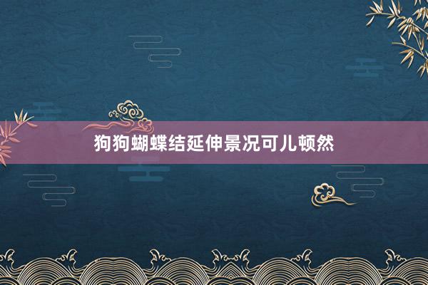 狗狗蝴蝶结延伸景况可儿顿然
